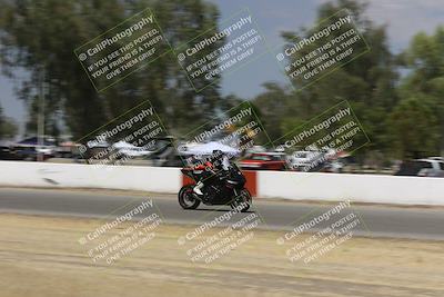 media/Sep-07-2024-Pacific Track Time (Sat) [[9bb89f5e83]]/C group/Front Straight 1240pm/